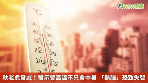秋老虎發威！醫示警高溫不只會中暑 「熱腦」恐致失智