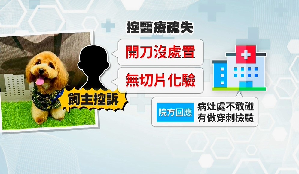 獨／愛犬開刀一週後病逝　飼主控訴至今病因仍是謎