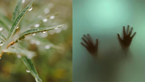 白露強碰鬼月「全年極陰」時段曝光！專家示警4生肖「忌穿黑衣」避厄運