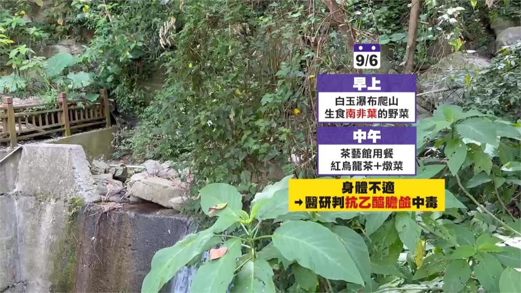 茶醉？台東3姊妹飲茶後瞳孔放大、意識模糊　初判疑誤食野菜中毒