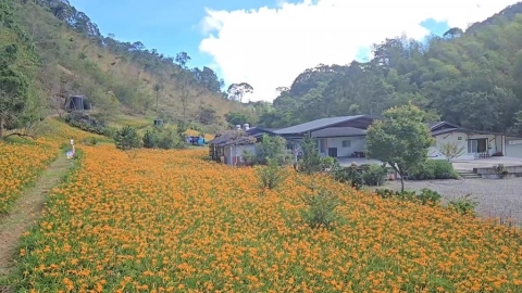 600元變2500元？花蓮賞花車資糾紛　司機喊冤：早就2000起