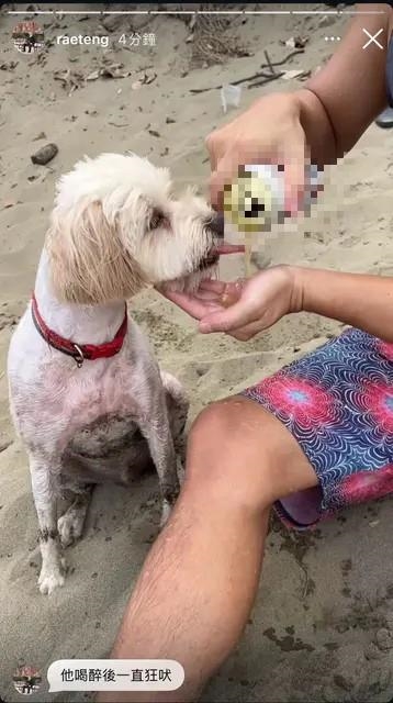 「魏如萱情敵」若盈人設大崩壞?PO「餵狗喝啤酒照」遭網出征:越來越瞎妹