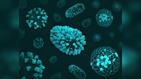 致死率達75%!南韓列「立百病毒」為一級傳染病 台灣不排除跟進