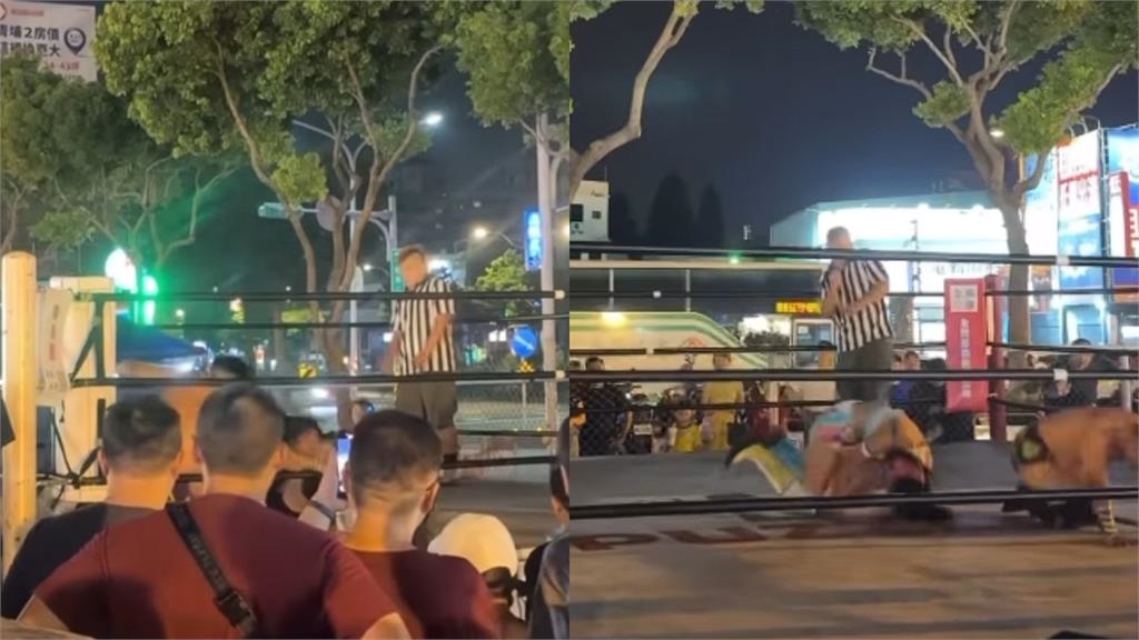 中壢夜市驚見「男女激戰」摔角秀!小孩圍觀「選手肉搏惹議」廟方回應了