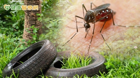 助登革熱防治更精準! 「基因+空間分析」破解病媒蚊擴散路徑