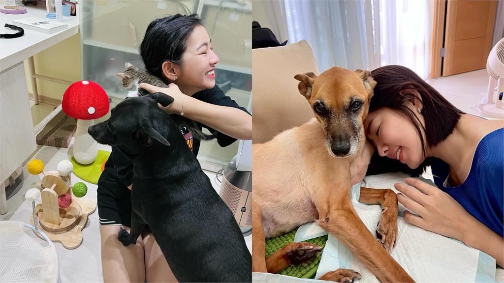 米可白愛犬狂拉肚子真相曝光!驚見「1景象」怒控平台遭冷回:只補償100元