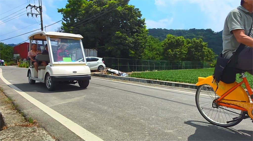 最美九月雪! 桃園大溪韭菜花季盛開 賞花吃韭菜料理
