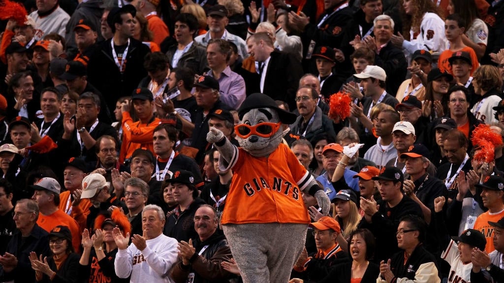 MLB(影)／世仇對決變「動物星球」！　海獅徘徊遊艇、狗狗探頭找新朋友超萌