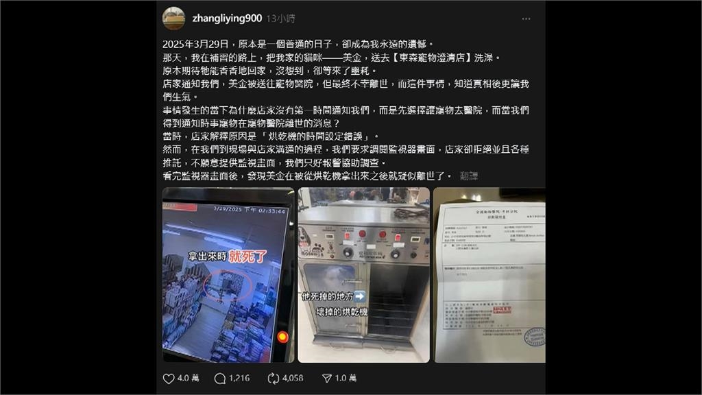愛貓送洗卻慘死！賠償五萬、簽保密條款　協調後半年竟無消息