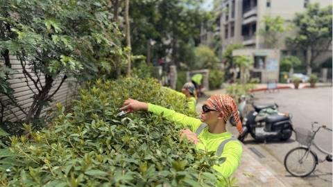 都市綠地與心理健康:樹木如何成為最佳的天然療癒處方
