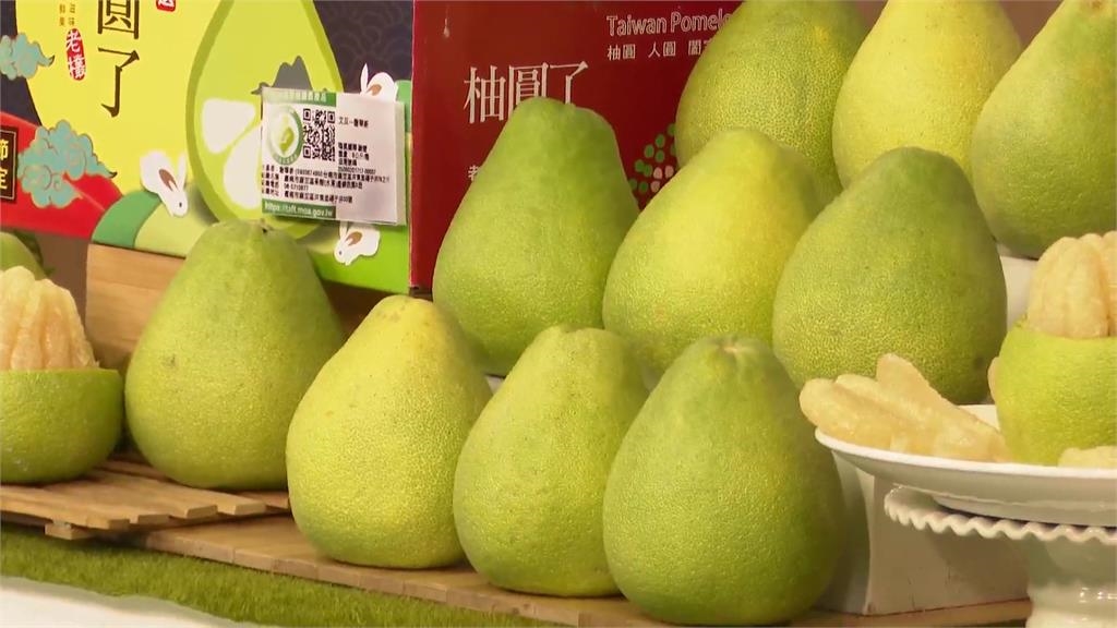 最強叫賣王! 黃偉哲上購物台賣台南文旦 狂銷600箱