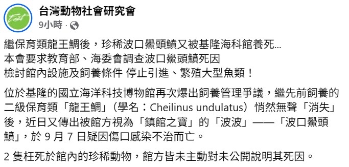 「鎮館之寶」波波遭養死挨批　海科管：發現時已來不及搶救