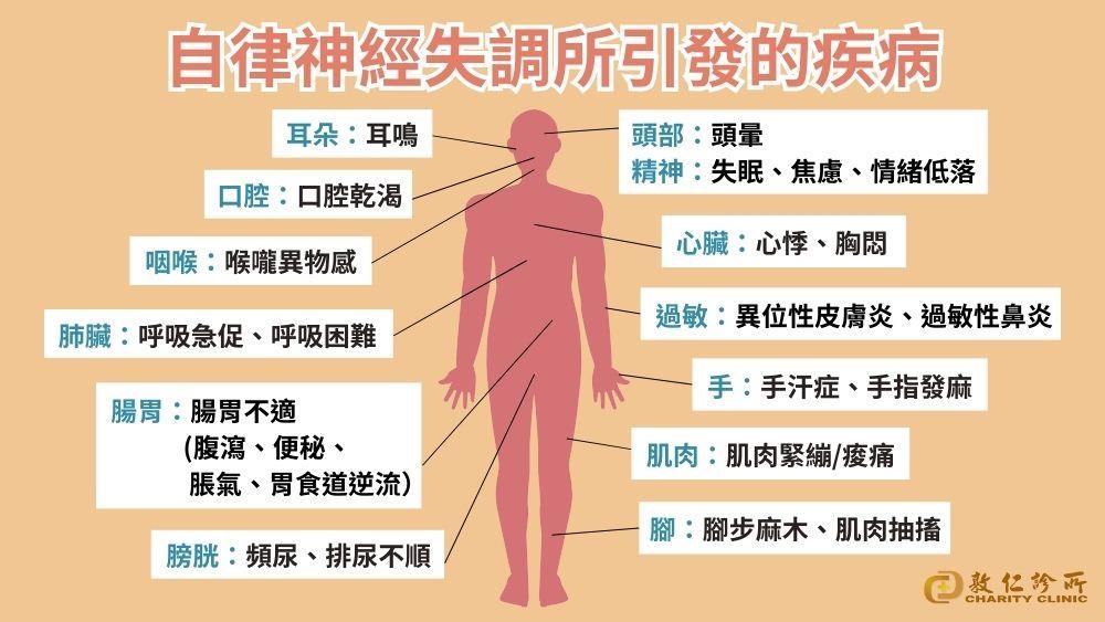 過敏與失眠與壓力有關？醫曝腸道功能與神經調節的新觀點