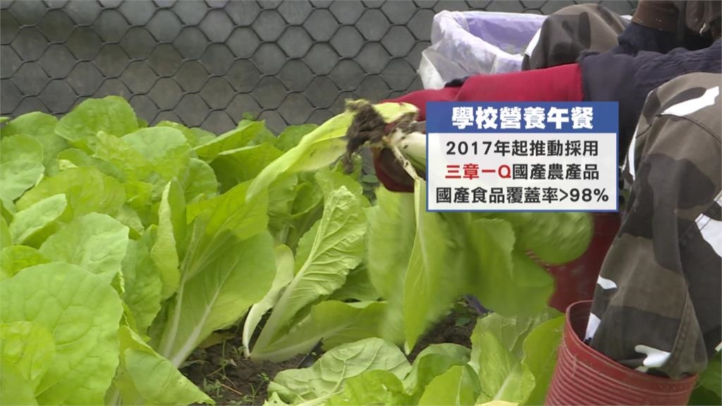 校園午餐3章1Q使用國產食材　經費回歸地方負擔恐斷炊