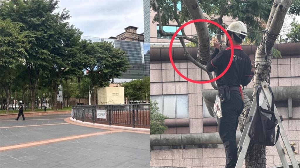 板橋人噩夢重啟…驚見路邊「1物降臨」崩潰嘆:該來的終究躲不了!