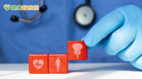 專家解析水蒸氣消融術　攝護腺肥大患者治療新曙光