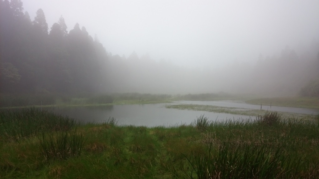 馬太鞍洪水釀14亡、逾百人失聯！地質專家：全台還有「2個堰塞湖」監測中