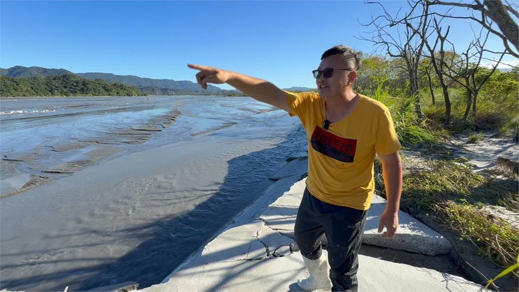 鳳林鎮乳牛變「水牛」　120隻乳牛被沖到太平洋！估損失破千萬