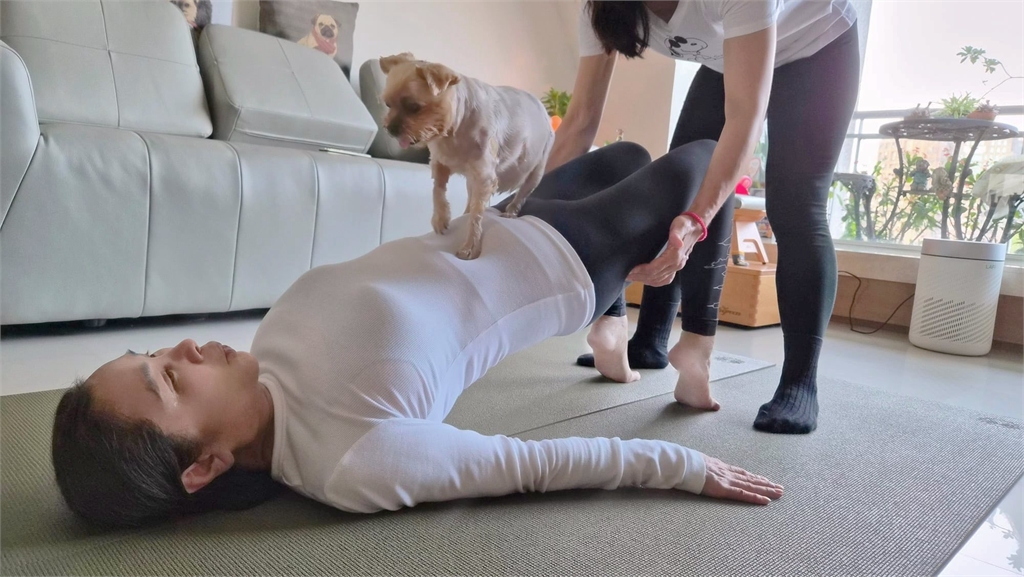 陳美鳳信義區被捕獲