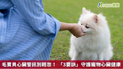 毛寶貝心臟警訊別輕忽! 「3要訣」守護寵物心臟健康