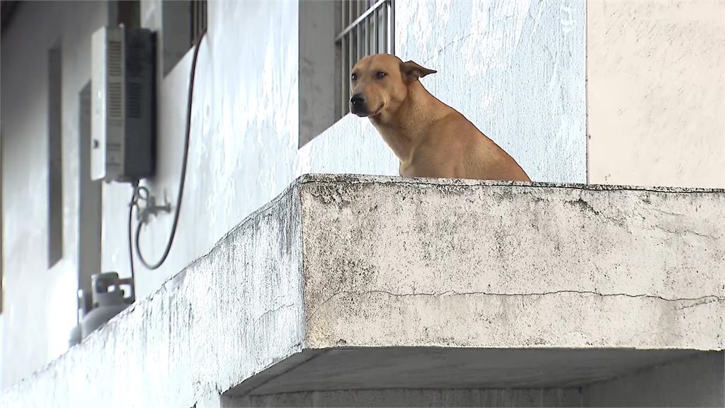 花蓮馬太鞍溪堰塞湖溢流 重建之路漫漫光復鄉89戶無法再住人
