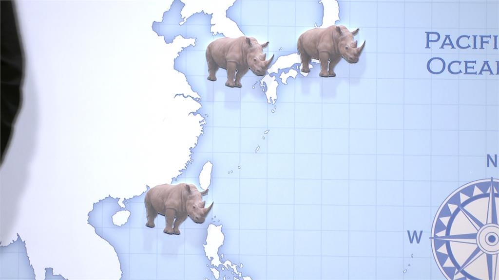 犀牛外交! 台灣旅遊集團攜手韓國樂園 啟動「犀牛國際交流計畫」