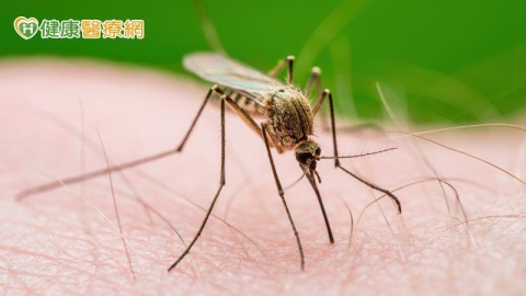 瘧疾病例達19年同期最高!疾管署:嚴重恐致肝腎衰竭與腦部併發症