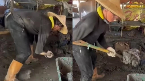 鏟子超人中驚見「獨臂戰士」手剩半截低頭清淤！動作超俐落惹哭3.5萬人