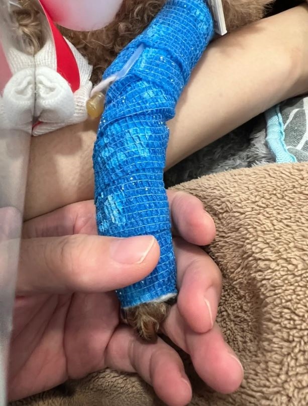 YTR老高「摯愛」罹淋巴癌！頻道突公告「無限期停更」他悲曝狀態：不樂觀