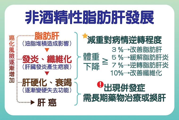 脂肪肝炎不痛不癢？ 減重、用藥併改善生活型態防惡化
