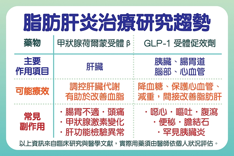 脂肪肝炎不痛不癢？ 減重、用藥併改善生活型態防惡化