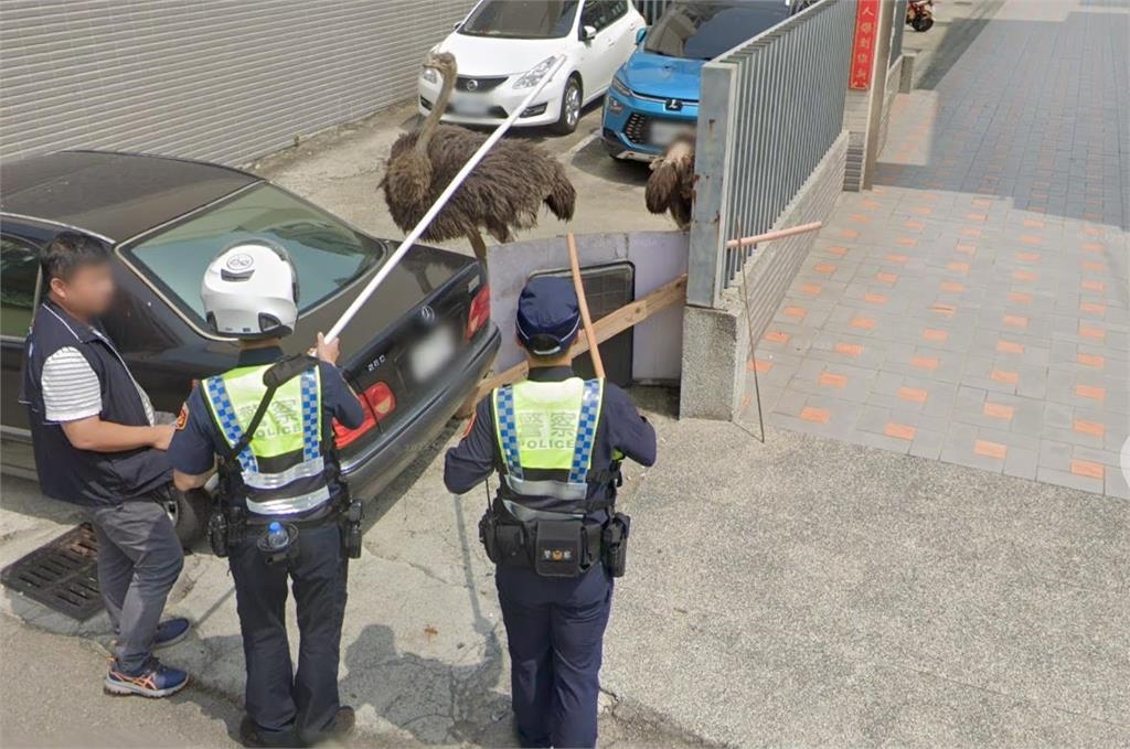 Google地圖見「野生露鳥」警方急圍捕！「溪南路三段55巷」成熱搜字真相網笑爛