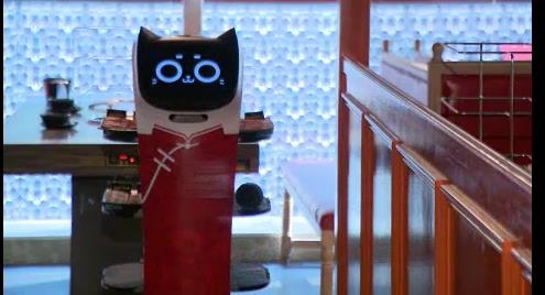 台灣硬體基礎雄厚 但想搶進人型機器人市場,有哪些技術缺口?