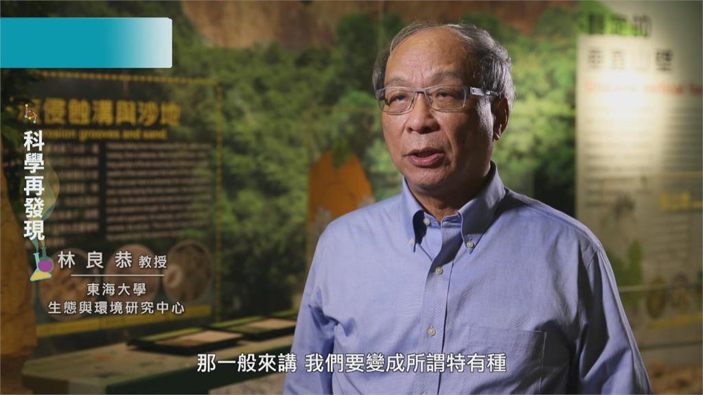 維護台灣生物多樣性！　呼籲落實環境保育