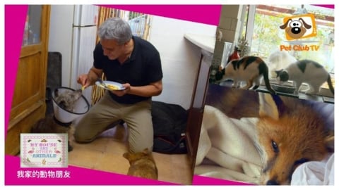 寵物TV《我家的動物朋友》暖心首播 帶領觀眾走進動物救援現場