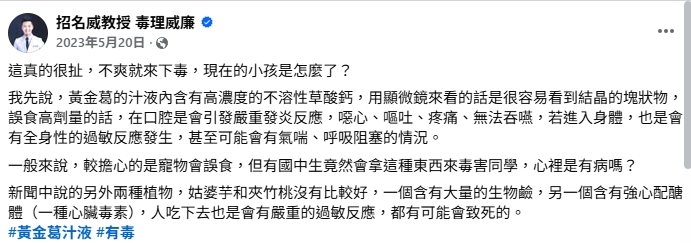 台中4女童拿「黃金葛汁」下毒同學！醫揭誤食「3有毒植物」下場：可能致死