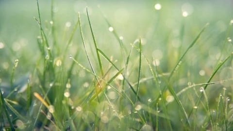 「寒露」節氣15天！六大開運養生、禁忌一次看