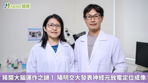 揭開大腦運作之謎! 陽明交大發表神經元放電定位成像