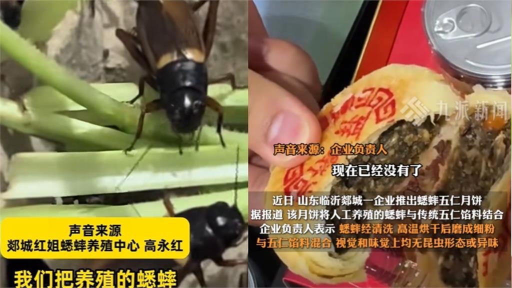 中國狂推奇葩口味「蟋蟀月餅」成黑馬暴紅！試吃者曝「奇妙味道」