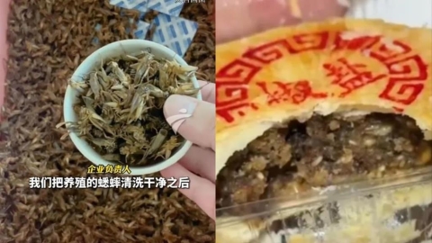 中國狂推奇葩口味「蟋蟀月餅」成黑馬暴紅！試吃者曝「奇妙味道」