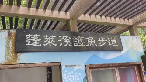 南庄消暑秘境! "蓬萊溪護魚步道"如走入忘憂谷