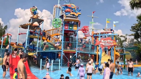 國慶出遊潮! 中部湧大量遊客 農場.樂園滿滿人潮