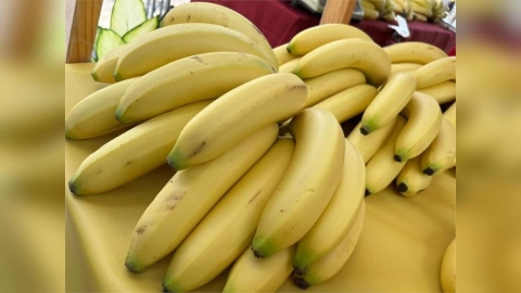 香蕉新低「破盤價出現」買太多怕爛掉?蕉農曝神級保存法放1個月不爛