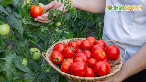 大番茄與小番茄有什麼差異?茄紅素抗氧化 加「這款油」一起吃助吸收!
