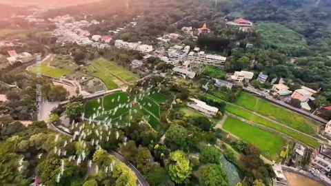 熱搜/嘉義梅山太興村「萬鷺朝鳳」 黃頭鷺大軍南遷 掀賞鳥熱潮
