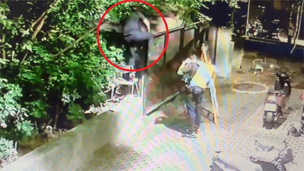 快新聞/給讚!瑞芳1奶貓疑遭遺棄 3暖警合力救援、協助送養