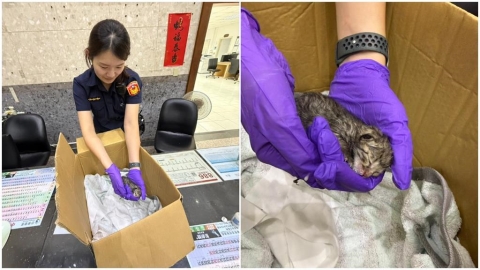 給讚!瑞芳1奶貓疑遭遺棄 3暖警合力救援、協助送養