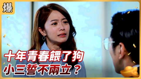 《好運來-EP209精彩片段》十年青春餵了狗 小三誓不兩立？