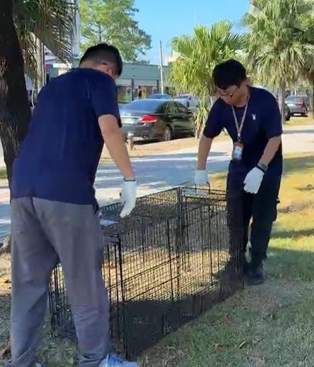 流浪狗霸占公園沙坑! 公所誘捕遭愛狗人士「開籠放生」