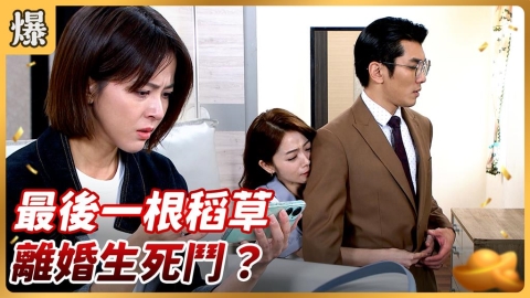 《好運來-EP211精彩片段》最後一根稻草 離婚生死鬥？
